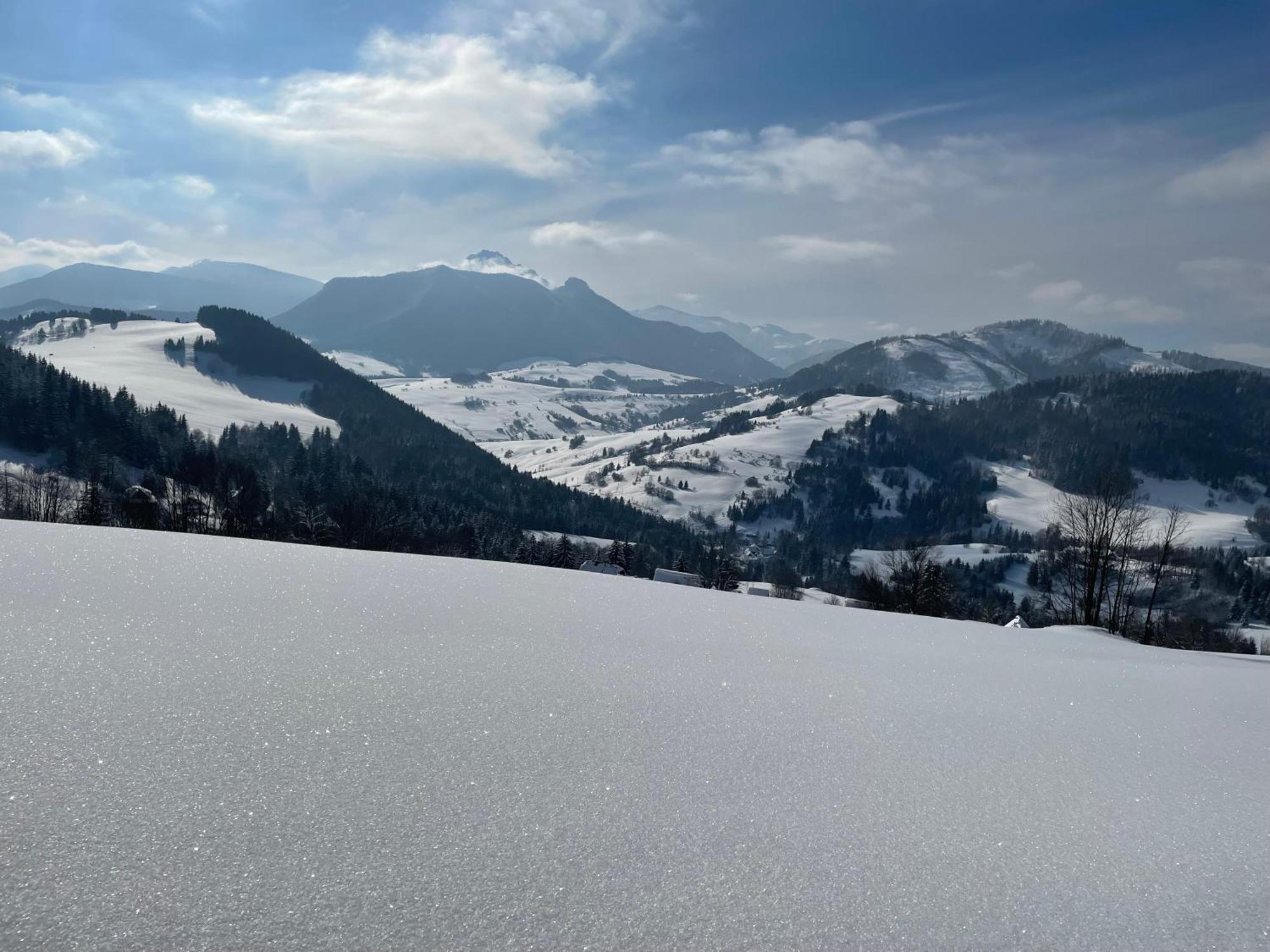 Chalet George Villa Zazriva Bagian luar foto